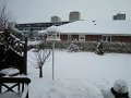 31-01-2010 15-04-03 (Large)